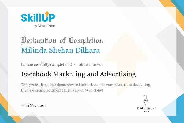 Facebook Marketing and Advertising